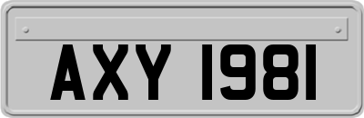 AXY1981