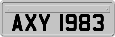 AXY1983