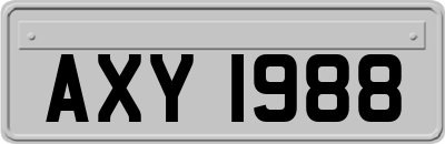 AXY1988