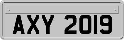 AXY2019
