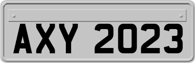 AXY2023