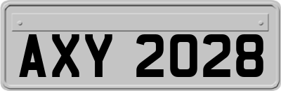 AXY2028
