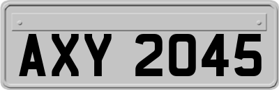 AXY2045