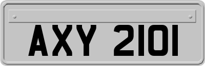AXY2101