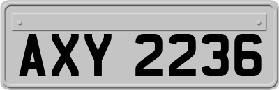 AXY2236