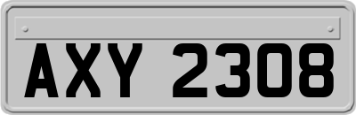 AXY2308