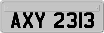 AXY2313