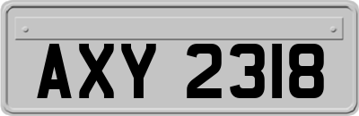 AXY2318