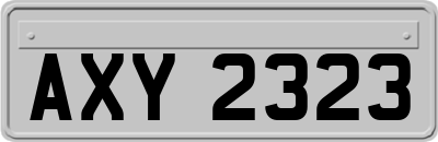 AXY2323