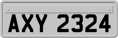 AXY2324
