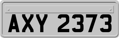 AXY2373