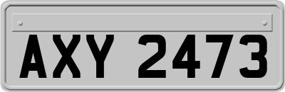 AXY2473