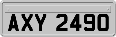 AXY2490
