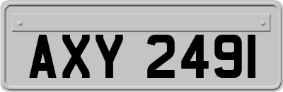 AXY2491