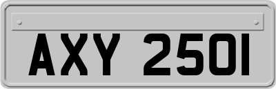 AXY2501