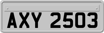 AXY2503