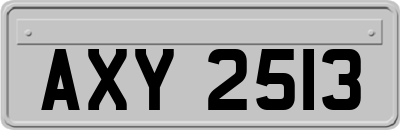 AXY2513
