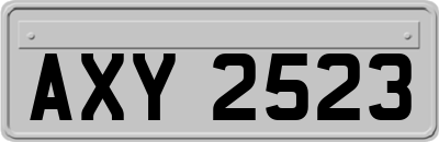 AXY2523