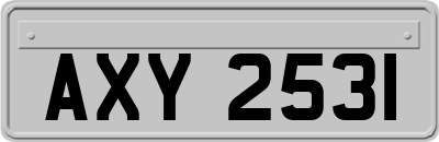 AXY2531