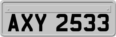 AXY2533