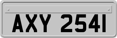 AXY2541