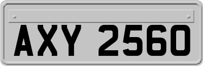 AXY2560
