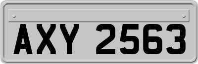 AXY2563