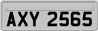 AXY2565