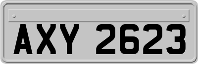 AXY2623