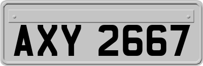 AXY2667