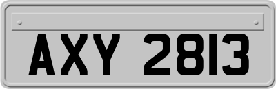 AXY2813