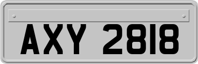 AXY2818