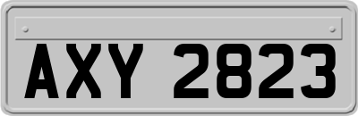 AXY2823