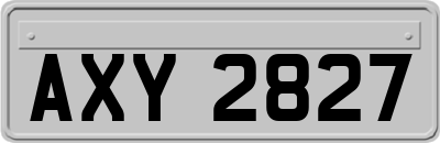 AXY2827