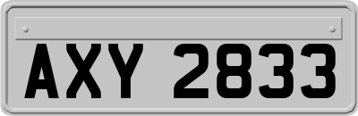 AXY2833