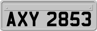 AXY2853