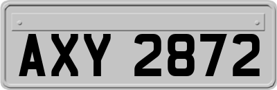 AXY2872