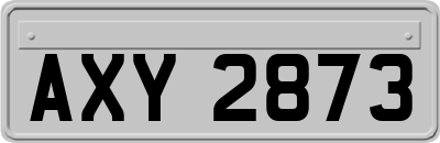 AXY2873