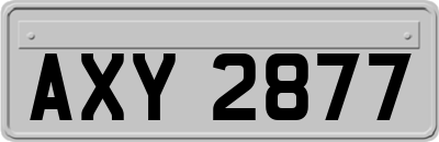 AXY2877