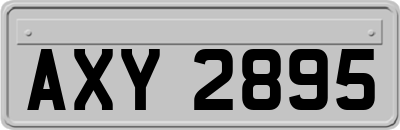 AXY2895