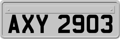 AXY2903