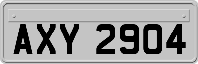 AXY2904