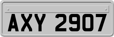 AXY2907