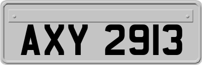 AXY2913