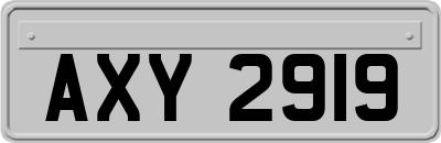 AXY2919