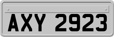 AXY2923