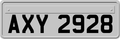 AXY2928