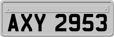 AXY2953