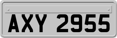 AXY2955