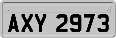 AXY2973